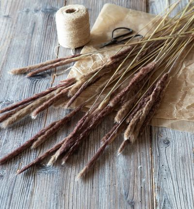 Miscanthus strå natur Miscanthus strå natur